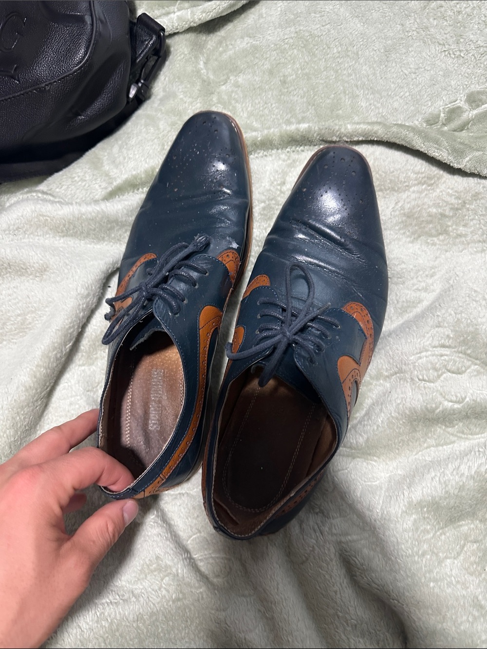 Stacy Adams Navy and Tan Two-Tone Wingtip Oxfords